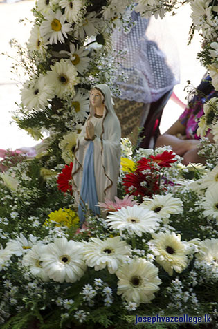 Feast Of Our Lady Of Lourdes - 2014