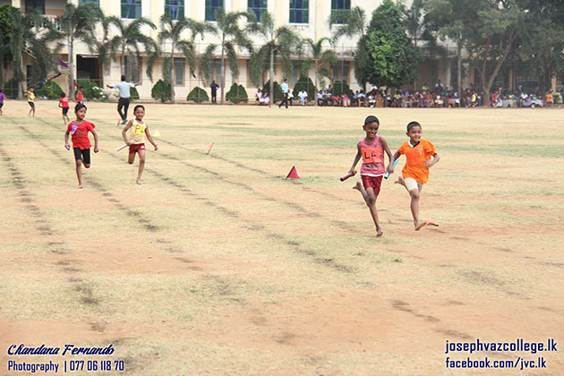 Inter-House Sports Meet - 2016 Primary College - St.Joseph Vaz College
