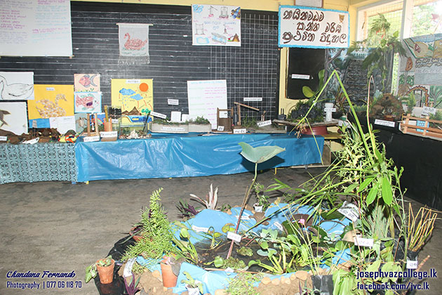 Environmental Educational Camp Primary College